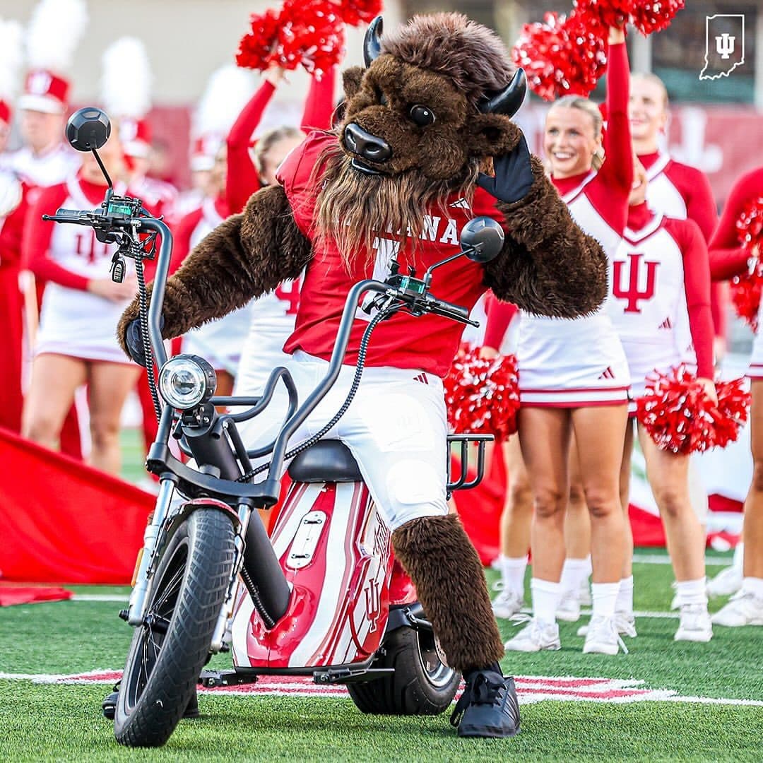 Hoosier the Bison mascot on a red and white Indiana custom-wrapped EA Golf Bike, with cheerleaders behind