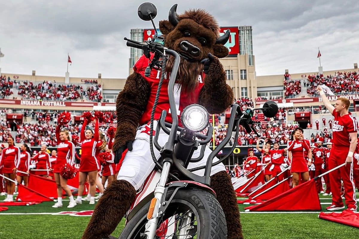 Indiana bison mascot on a red and white EA Golf Bike on the football field with cheerleaders behind