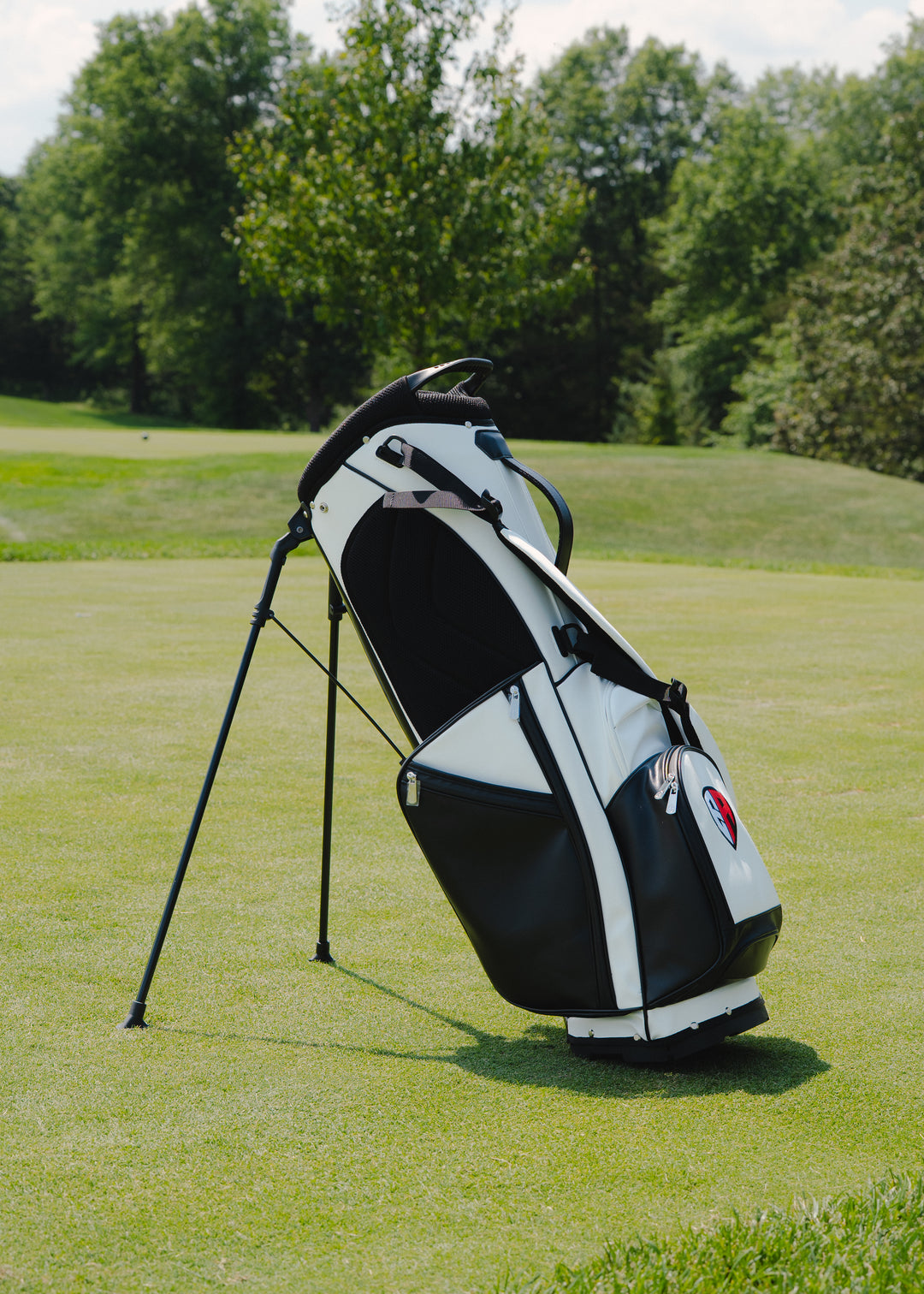 EA Stand Bag